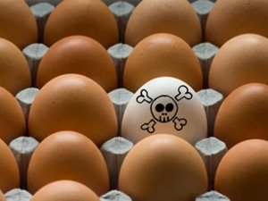 SALMONELLA BAKTERIÝASY HER 4 IÇGEÇME HADYSASYNYŇ BIRINE SEBÄPKÄR